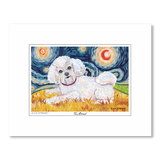 Bichon Frise Starry Night Matted Print