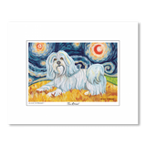 Havanese Starry Night Matted Print