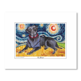 Labrador Black Starry Night Matted Print