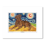 Labrador Chocolate Starry Night Matted Print