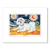 Maltese Starry Night Matted Print