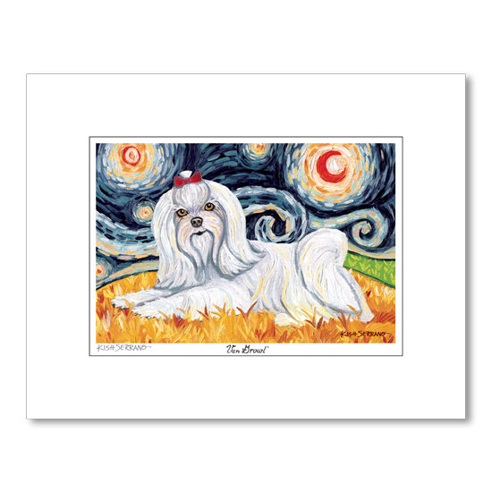 Maltese Longhair Starry Night Matted Print