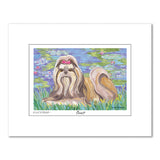 Shih Tzu Bonét Matted Print