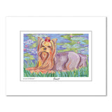 Yorkshire Terrier Bonét Matted Print