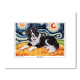 Border Collie Starry Night Matted Print