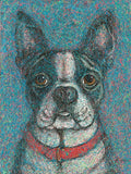Boston Terrier Original Painting