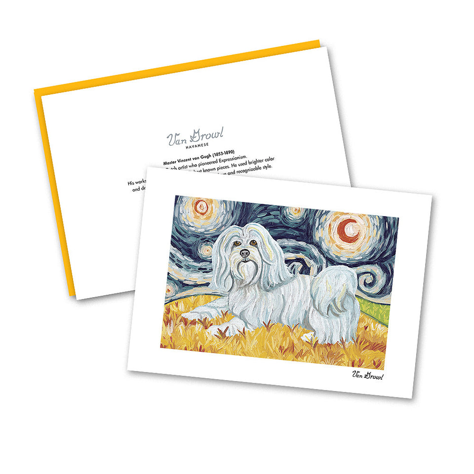 Havanese Starry Night Notecard Set