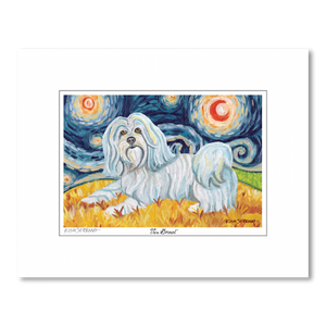 Havanese Starry Night Matted Print