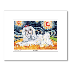 Maltese Longhair Starry Night Matted Print