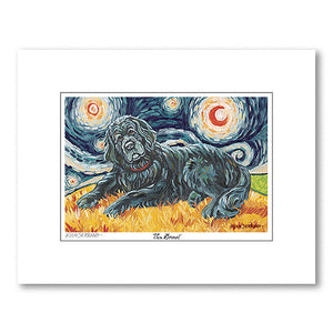 Newfoundland Starry Night Matted Print