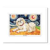 Shih Tzu Blonde Starry Night Matted Print